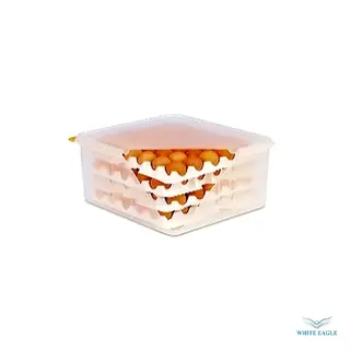 EGG BOX GN 2-3 WITH 8 EGGS TRAYS