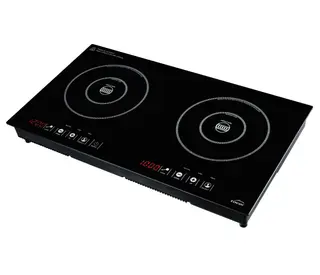 Dual Commercial infrared Cooker