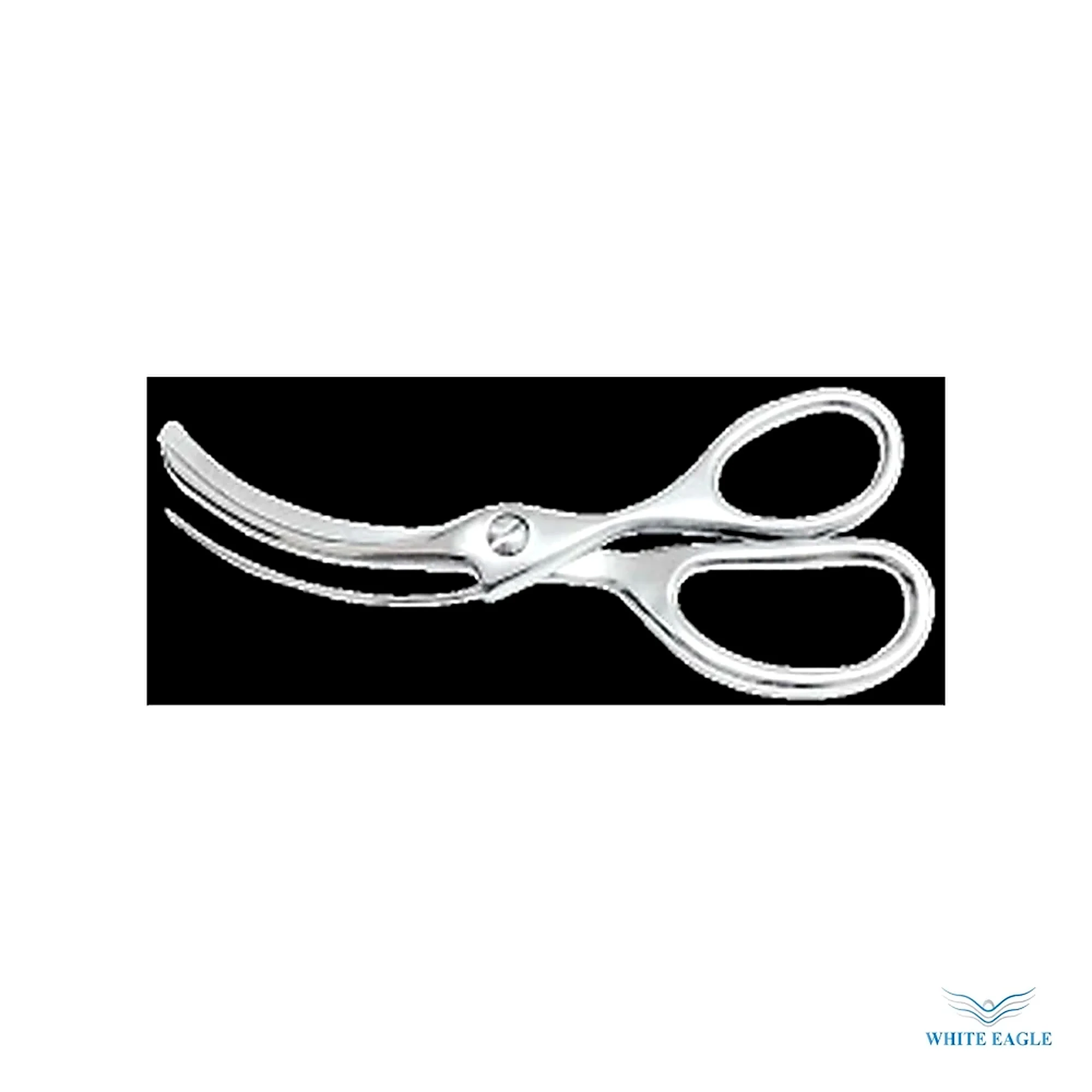 Evisceration of Fish and Shrimp Shear 17 cm - Knife Sharpeners & Accessories from White Eagle Trading Doha Qatar - ادوات مطاعم وفنادق وايت ايجل في قطر