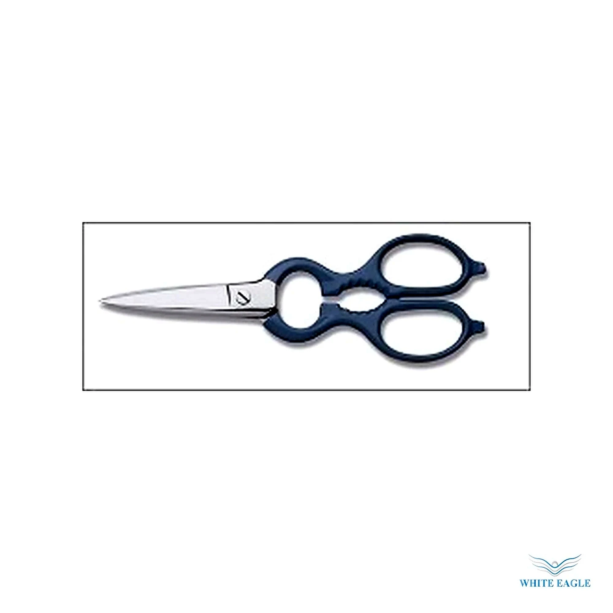 Fish Shear - Chefs knife from White Eagle Trading Doha Qatar - ادوات مطاعم وفنادق وايت ايجل في قطر